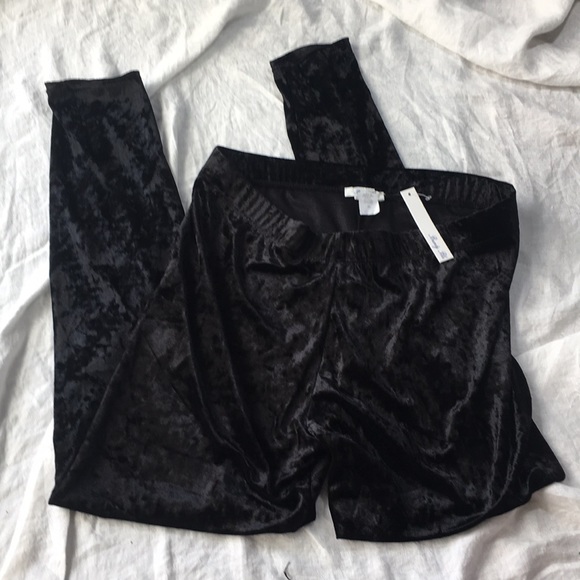 NWT Velvet Pants - Picture 1 of 4